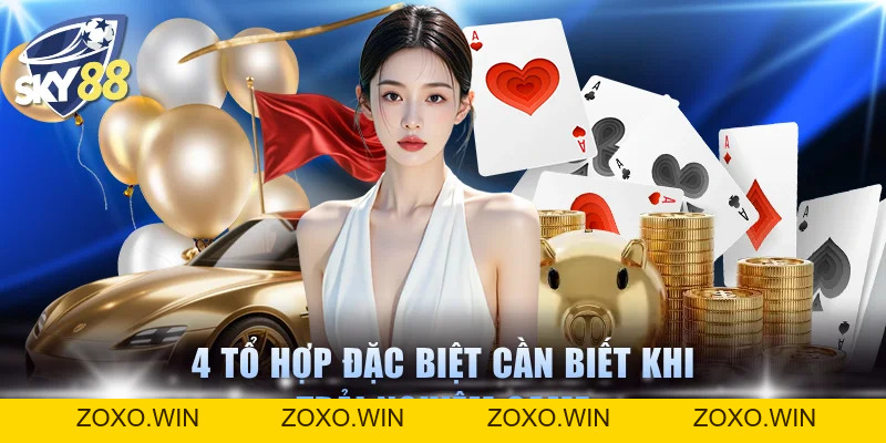 Cào Tố SKY88: Đấu Trường Trí Tuệ Giữa Các Thành Viên Vip